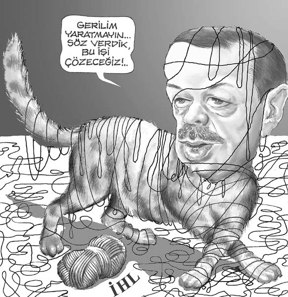 Cartoon  Erdogan-Bolletje wol