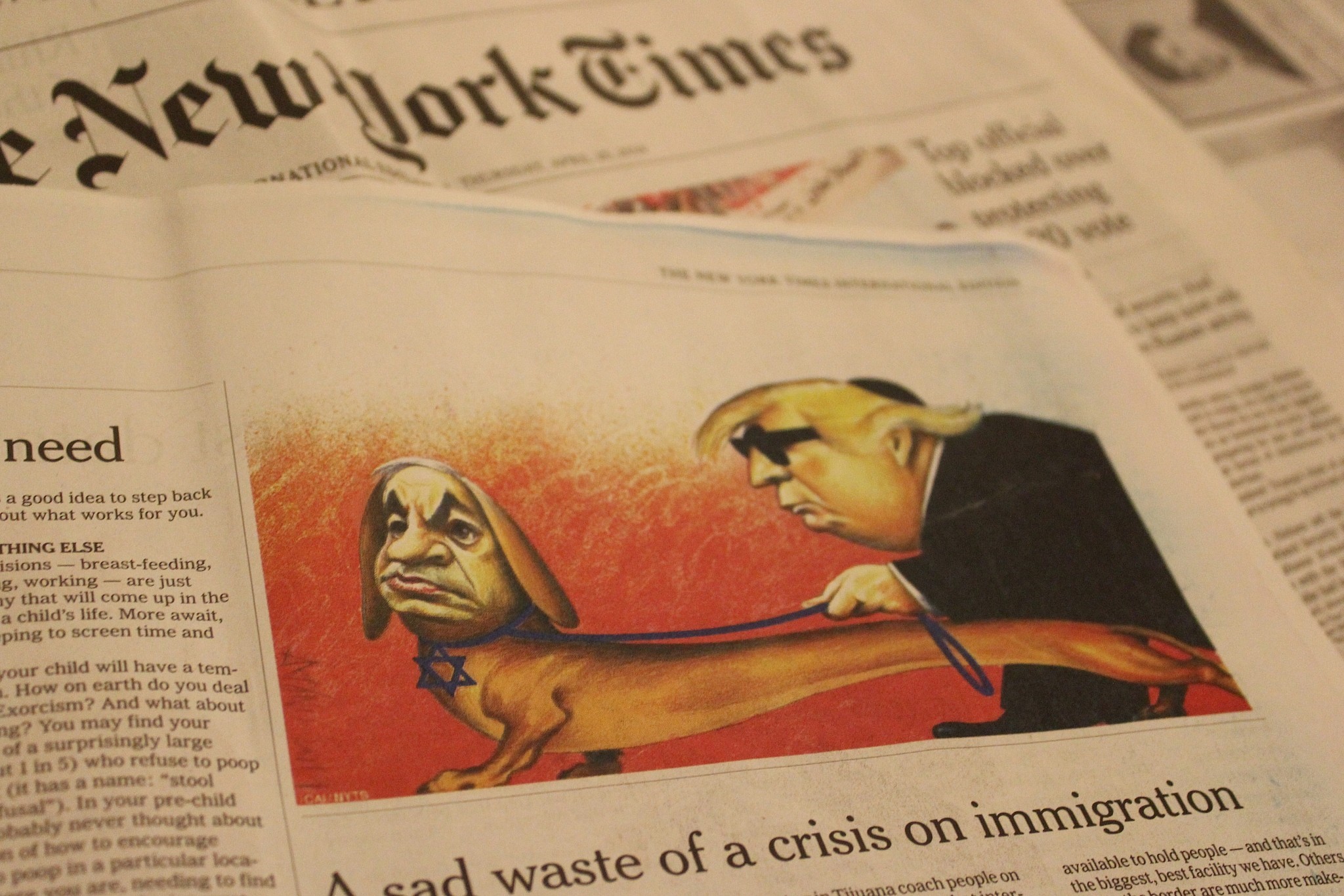 Cartoon NYT